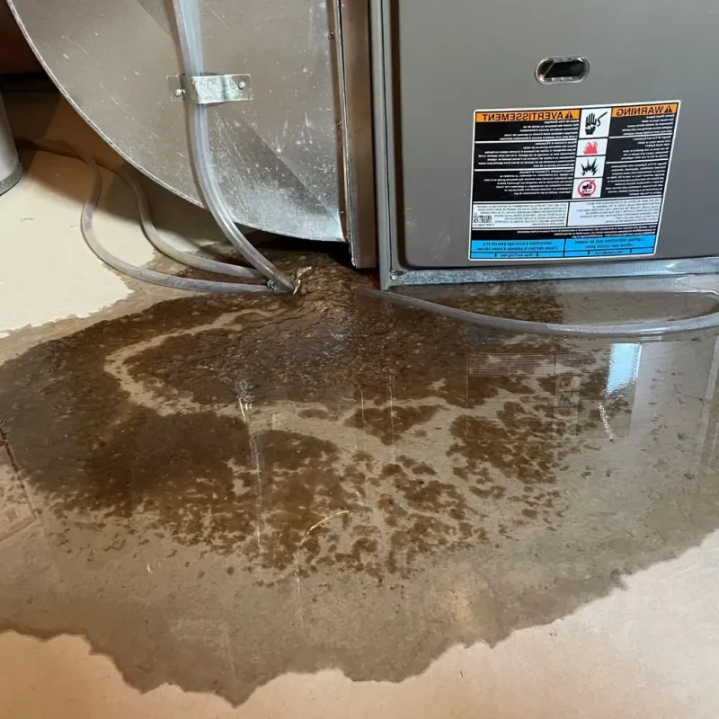 Pipe Burst and Leak Restoration in Edgewood, MD