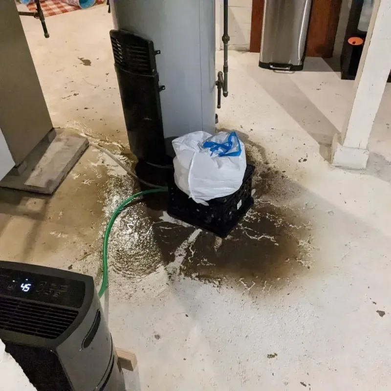 Sewage Backup Cleanup Service in Edgewood, MD